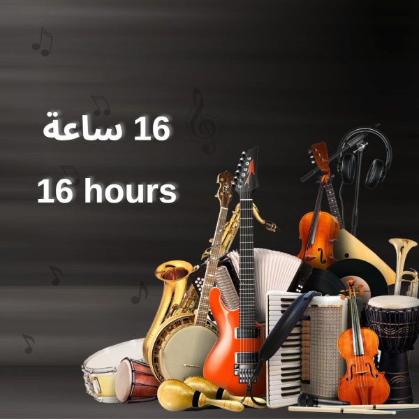 Learn All Music Instruments Course (16 hours Group)